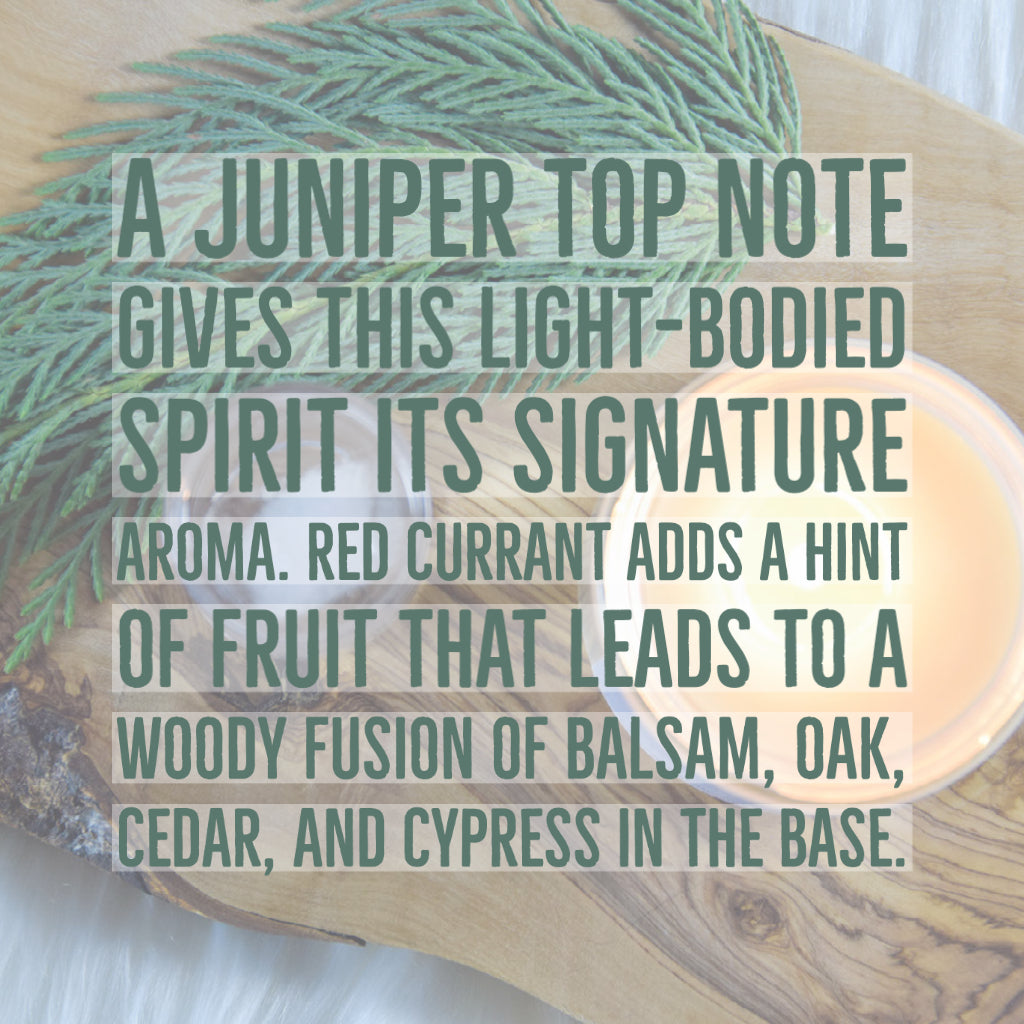 Dry Gin & Cypress Scented Soy Candle - Chandler Studio