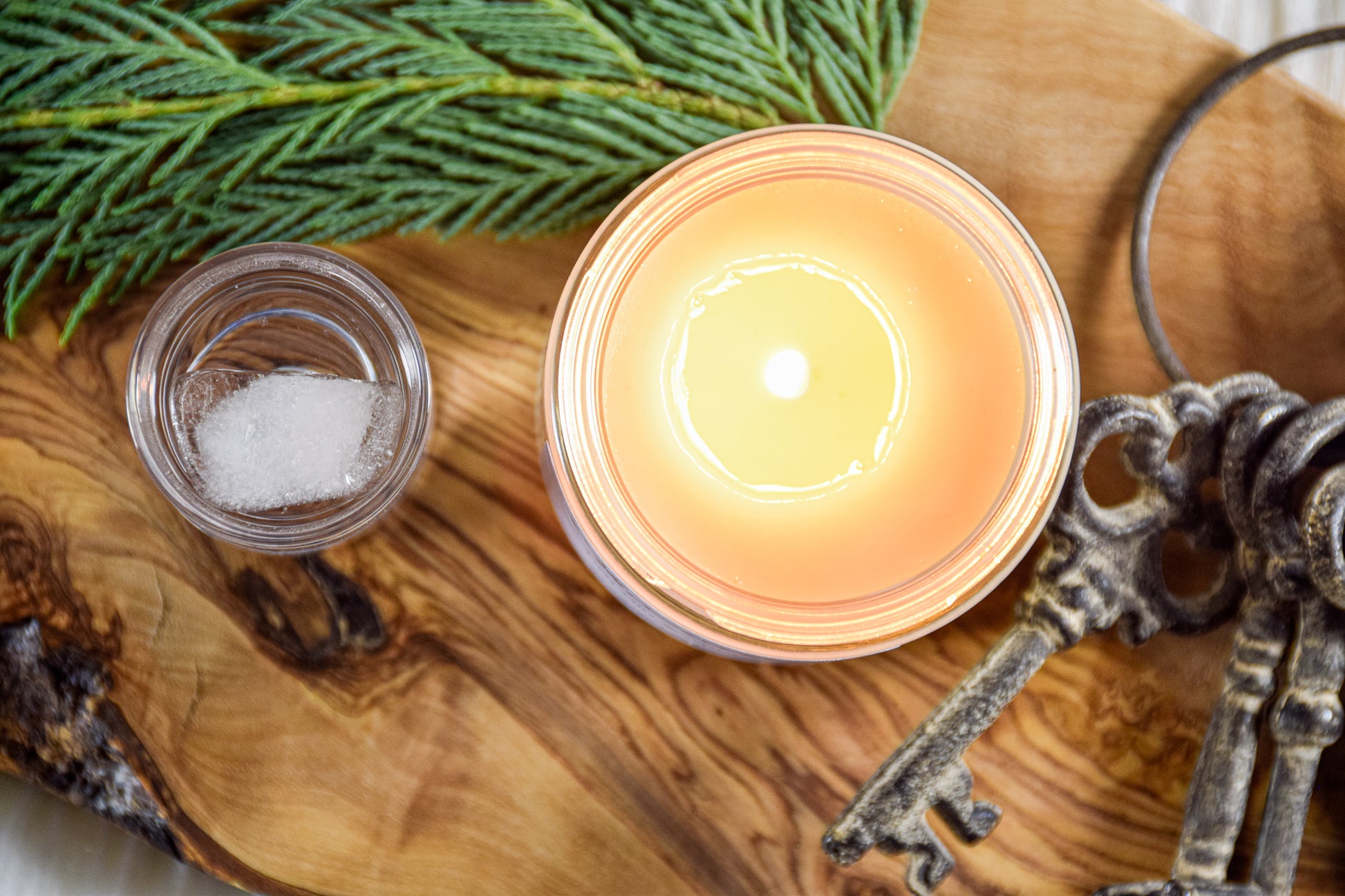 Dry Gin & Cypress Scented Soy Candle - Chandler Studio